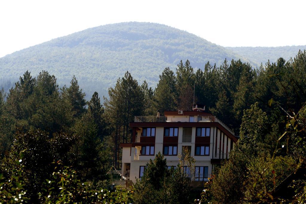 Mala Planina Guest House Iskrets Exterior foto